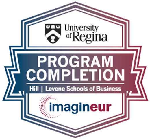 Badge of Imagineur program completion